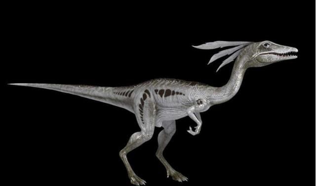 重量仅10克，日本发现最小恐龙蛋化石，犹如一枚鹌鹑蛋