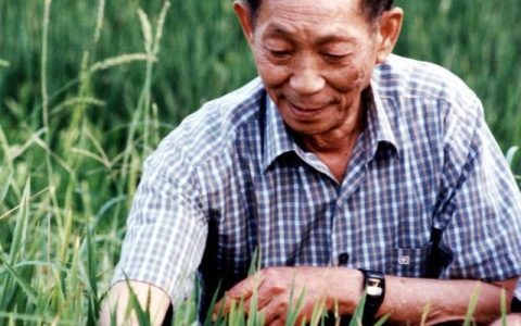 杂交水稻之父袁隆平对人类的贡献