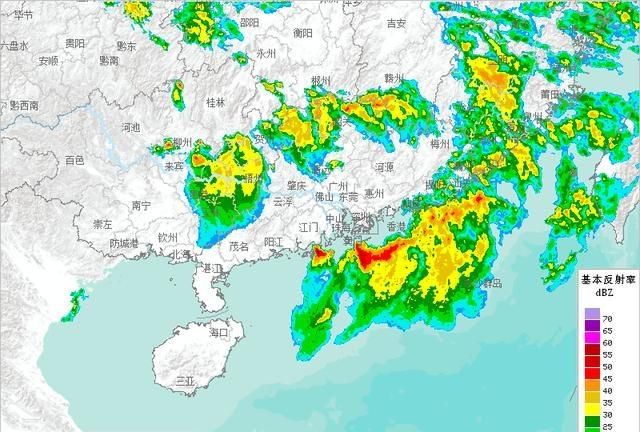 广东鹦鹉台风，为什么广东台风少了图6