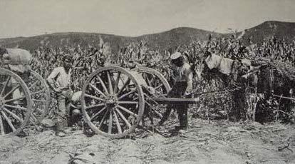 日俄战争，为什么打遍天下无敌手的哥萨克骑兵被日军打的满地找牙图6