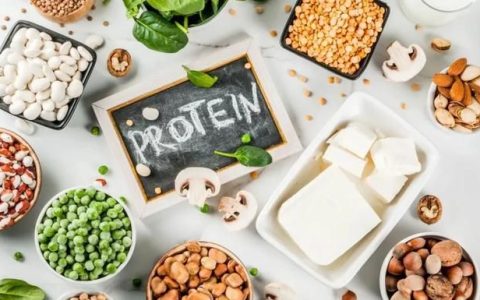 什么是蛋白质食物有哪些