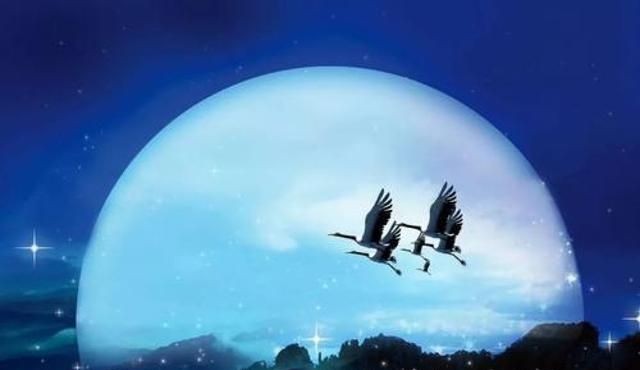月球的重力是地球上的六分之一，鸟在地球上飞20公里用1个小时，把它放到月球上，飞20公里需要多少时间图8
