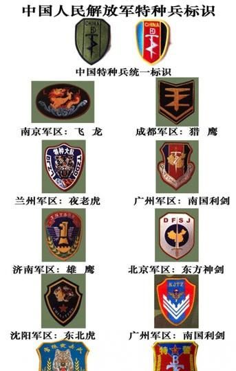 特战旅和特种部队区别(特战旅和特战大队有什么区别)图3