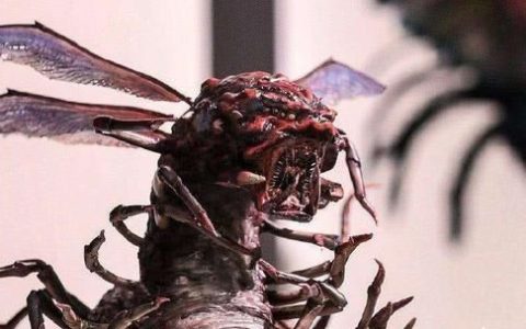 《怒晴湘西》在瓶山古墓中被鹧鸪哨杀死并吃掉内丹的六翅蜈蚣究竟是个什么怪物