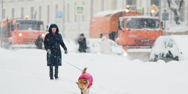 俄罗斯莫斯科遭遇72年来最大降雪图3