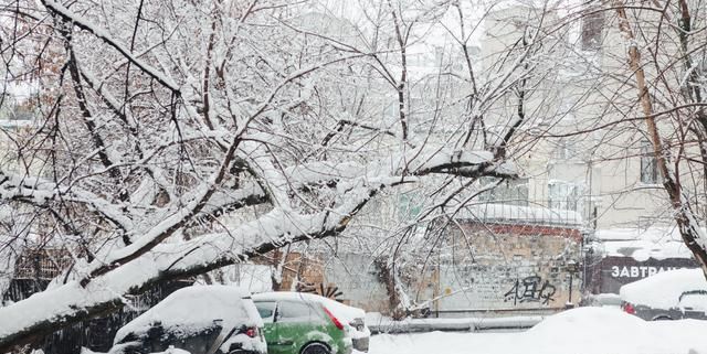俄罗斯莫斯科遭遇72年来最大降雪图7