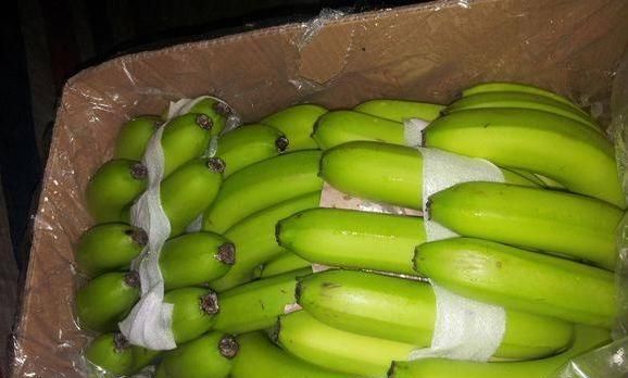 生香蕉怎样催熟,生香蕉怎么催熟的图3
