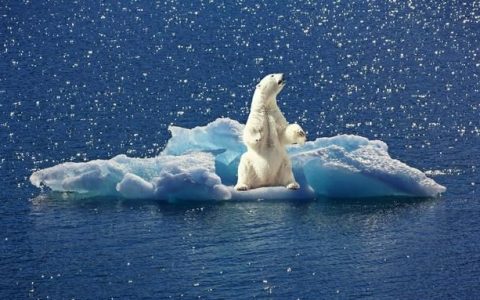 北极冰冻消失后会发生什么(北极冰消失了吗)