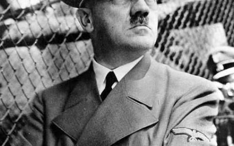 二战莫斯科战役台风行动后，希特勒为何要亲自接任陆军总司令