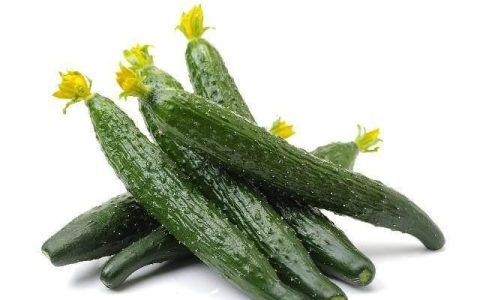 耐高温的蔬菜有哪些品种建议种植