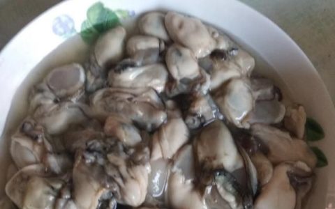 牡蛎怎么做,牡蛎怎么做好吃又简单蒸多长时间