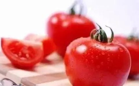 已经成熟的西红柿放在冰箱中冷冻可以食用吗