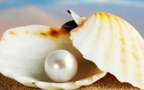 珍珠的成分是碳酸钙为什么能美白