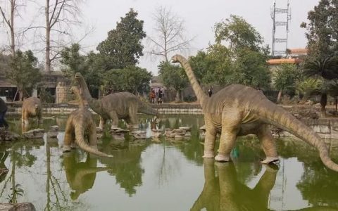 最好玩的恐龙公园,中国最好玩的恐龙公园排名