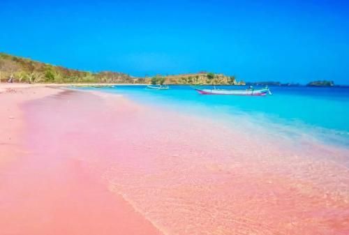世界上唯一的粉色沙滩在哪里(抚仙湖粉色沙滩是国内唯一的吗)图2