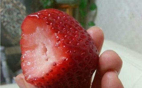 有的草莓为什么是空心的