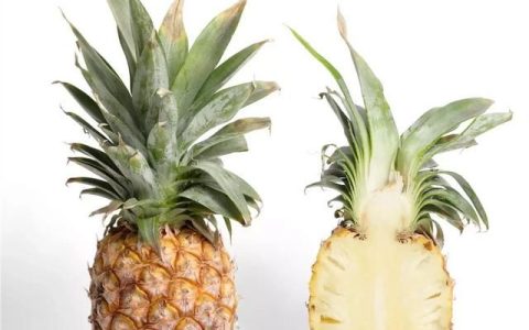 凤梨和菠萝到底有什么区别,菠萝和凤梨的营养有什么区别