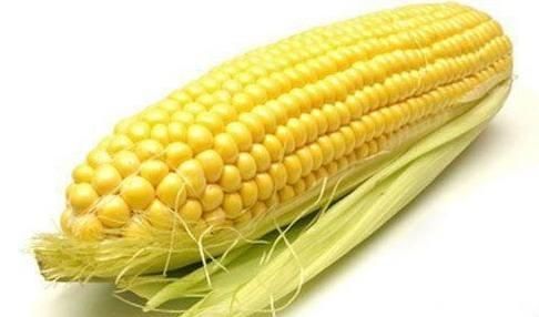 玉米吃多了对身体有哪些影响(长期吃玉米对身体有什么好处)图1