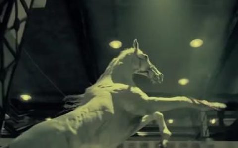 在电影《八佰》中,那匹白马代表了什么意思