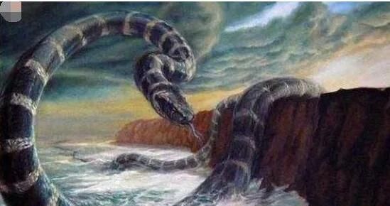 三峡大坝最大的蛇,三峡大坝有蛇吗图4