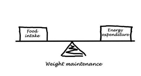 怎么减20斤(月减20斤方法)图2